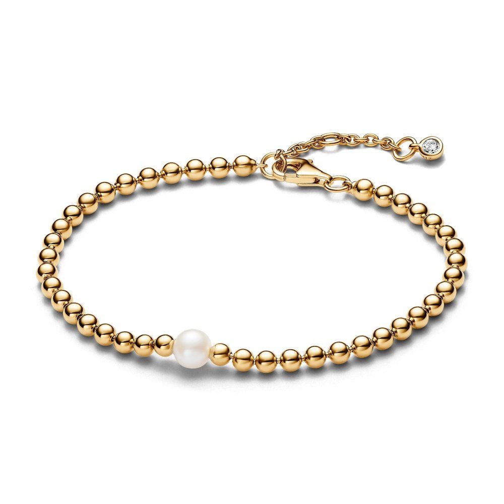 Pandora Bettelarmband Pandora Timeless Armband 563173C01-20