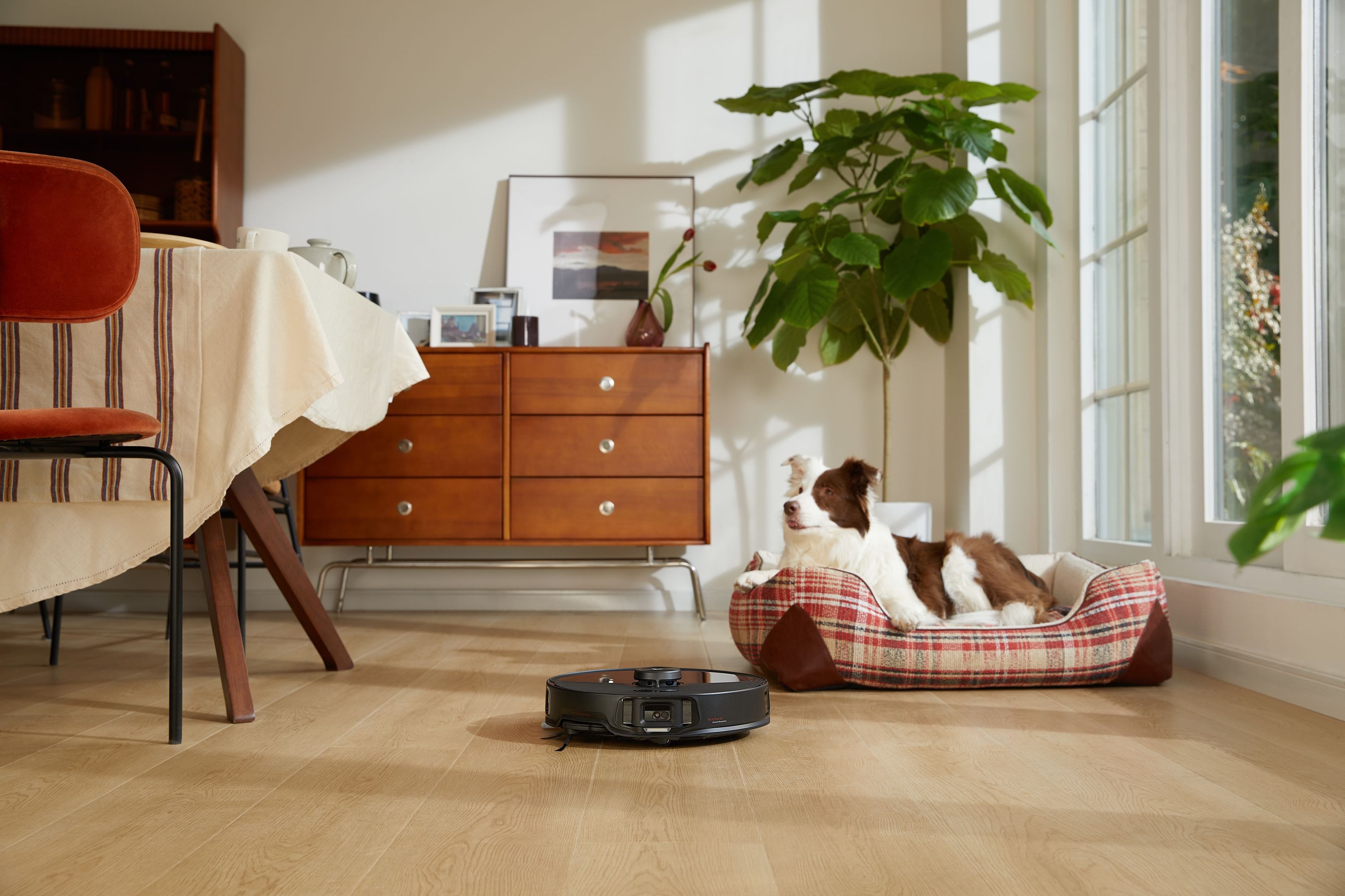 Roborock S8 MaxV Ultra - Bild 4