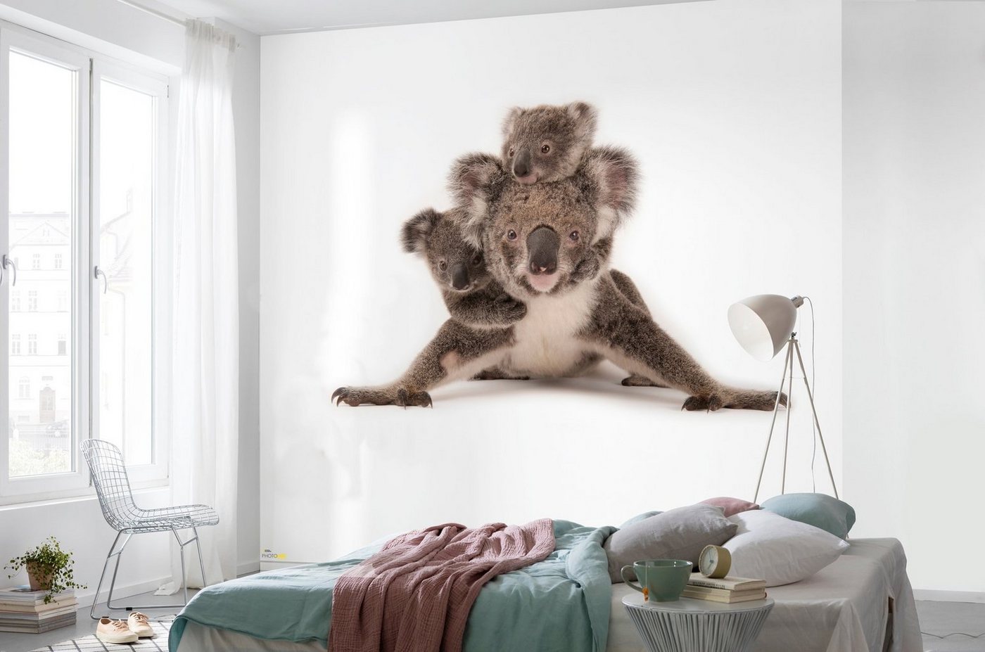Komar Vliestapete »Koala«, glatt, bedruckt, realistisch, (6 St), 300 x 280 cm (Breite x Höhe) - 6 Bahnen-HomeTrends