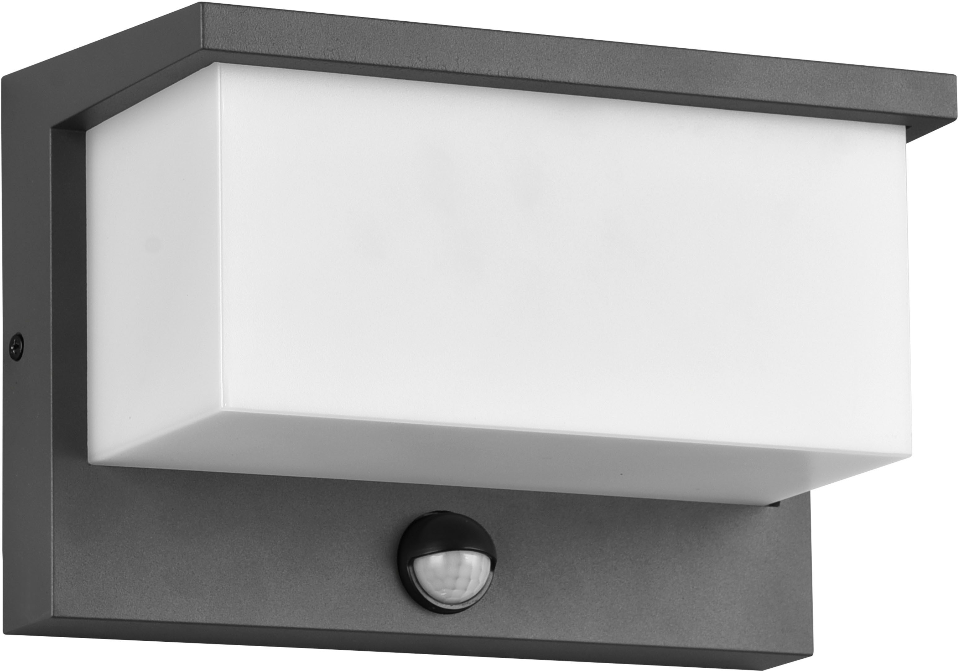 TRIO Leuchten LED Außen-Wandleuchte NESTOS, Outdoor Wandlampe Hauswand IP54 günstig online kaufen