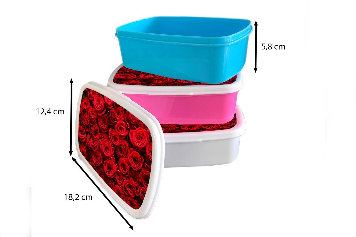 Kunststoff Erwachsene, Snackbox, MuchoWow für - Kinder, rosa Rosenblütenblätter Rot, Rosen Brotbox (2-tlg), - Kunststoff, Lunchbox Brotdose Mädchen,