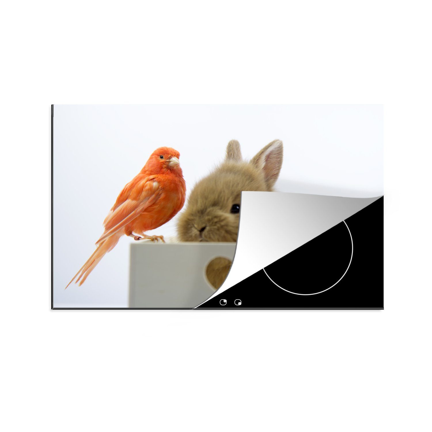 MuchoWow Herdblende-/Abdeckplatte Tiere - Kaninchen - Vogel, Vinyl, (1 tlg), 81x52 cm, Induktionskochfeld Schutz für die küche, Ceranfeldabdeckung