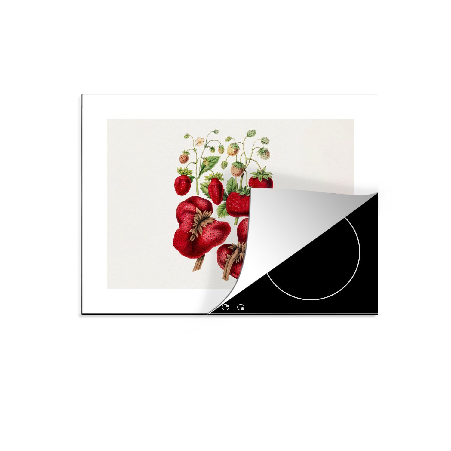 Vinyl, Schutz Herdblende-/Abdeckplatte Pflanze, küche, tlg), die cm, Erdbeere für Ceranfeldabdeckung 71x52 MuchoWow - Induktionskochfeld (1 Lebensmittel -