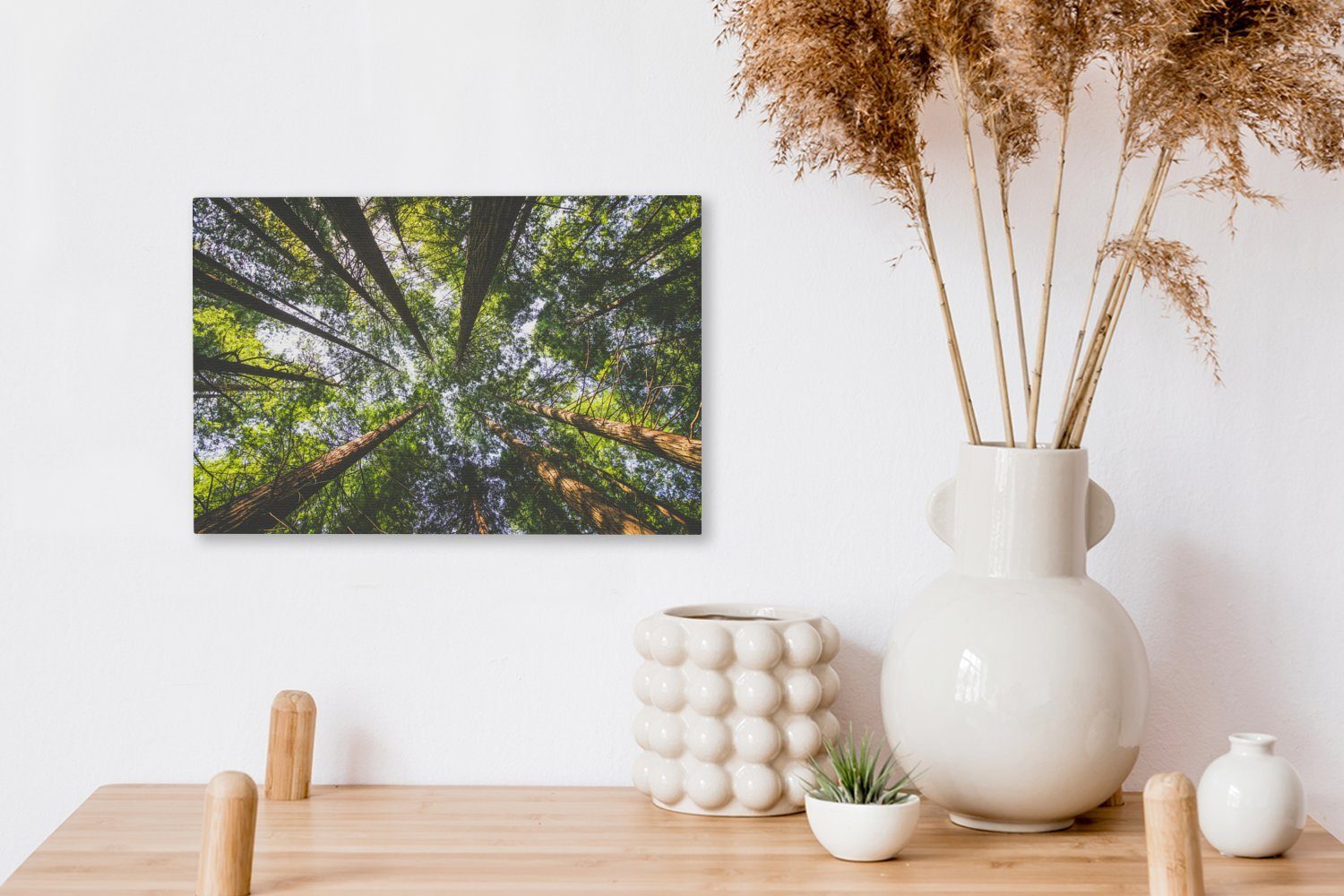 OneMillionCanvasses® Leinwandbild Ansicht Leinwandbilder, von Aufhängefertig, Mammutbäume Wandbild Wanddeko, 30x20 der unten, St), (1 cm