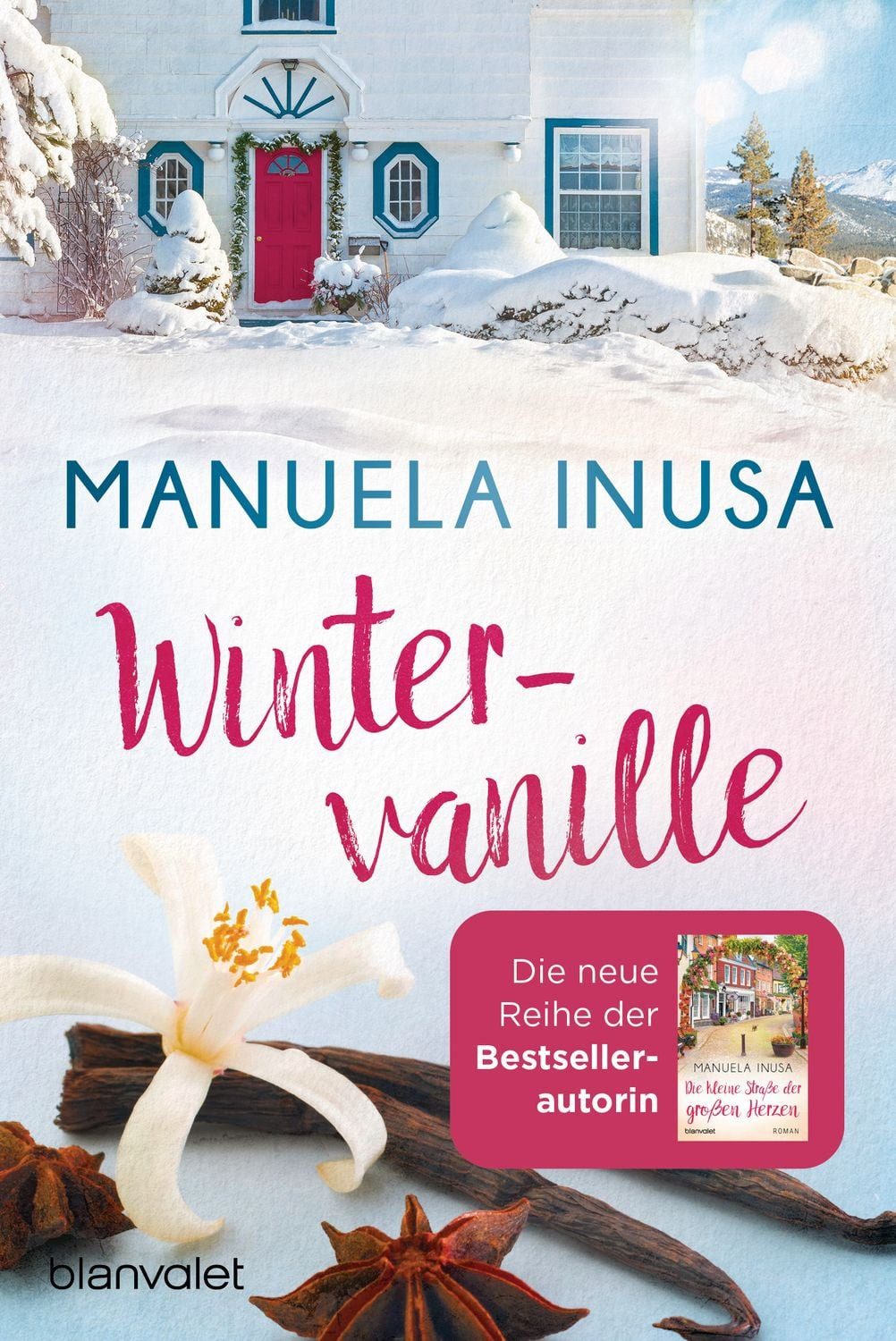 Wintervanille / Manuela Inusa, Roman