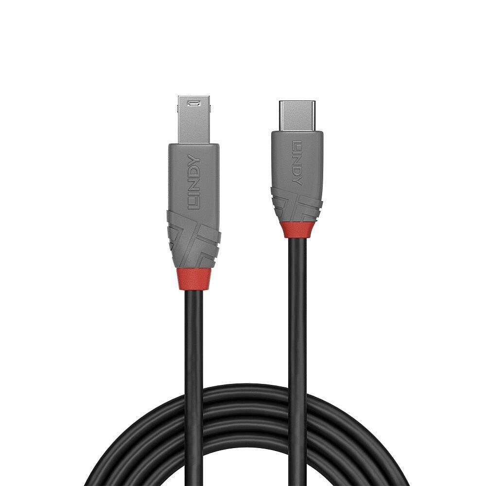 Lindy USB Kabel 2 m USB 3.2 Gen 1 (3.1 Gen 1) USB-C® USB B 36667 USB-Kabel