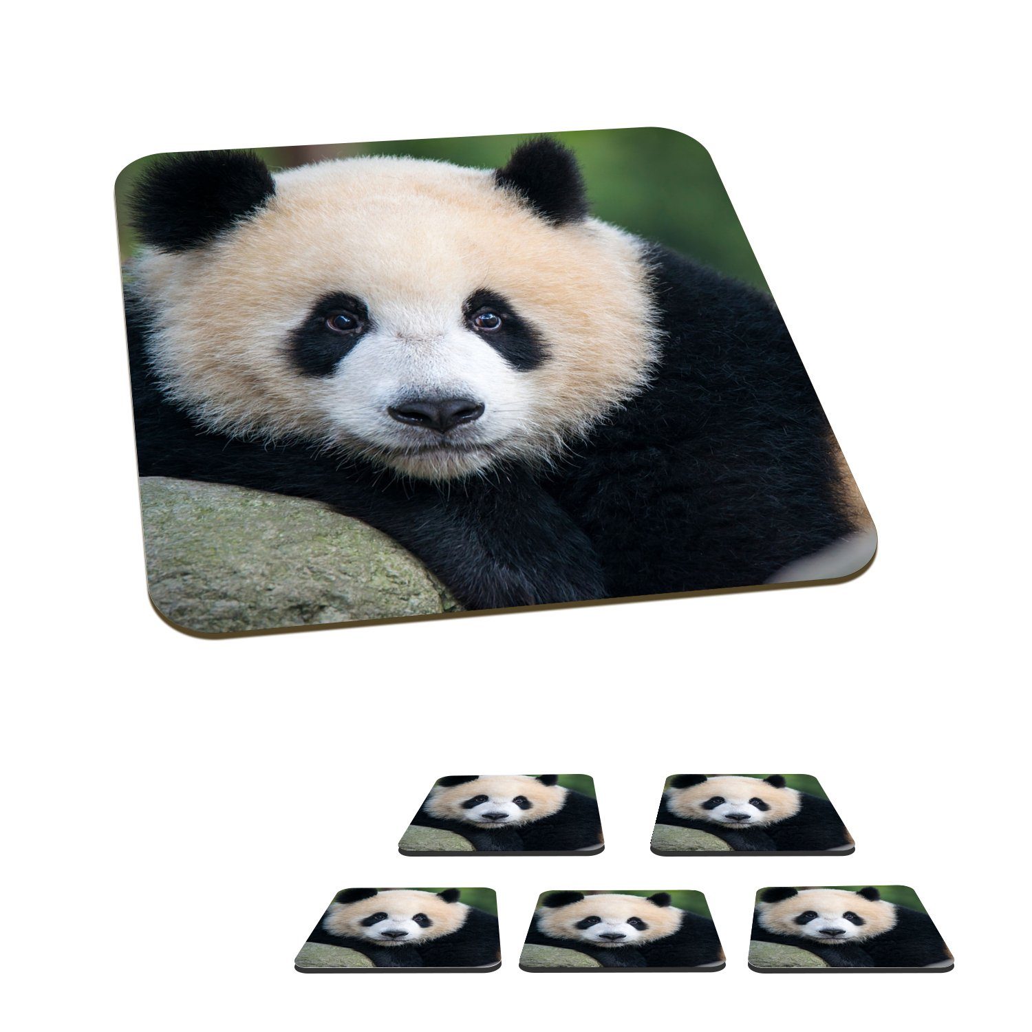 MuchoWow Glasuntersetzer Panda - Wildtiere - Porträt - Stein, Zubehör für Gläser, 6-tlg., Glasuntersetzer, Tischuntersetzer, Korkuntersetzer, Untersetzer, Tasse