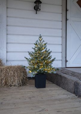 STAR TRADING LED Baum "Greyland" Kunststoff, warmweiß, 700x700mm, warmweiß