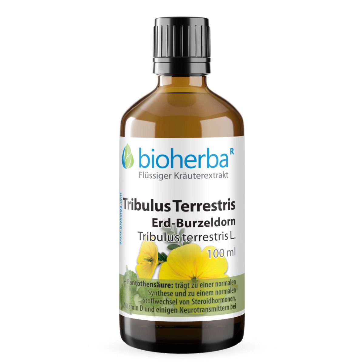 BIOHERBA R Bioherba Tribulus Terrestris Erd-Burzeldorn Tropfen Tinktur 100 ml Glasflasche, 1 er