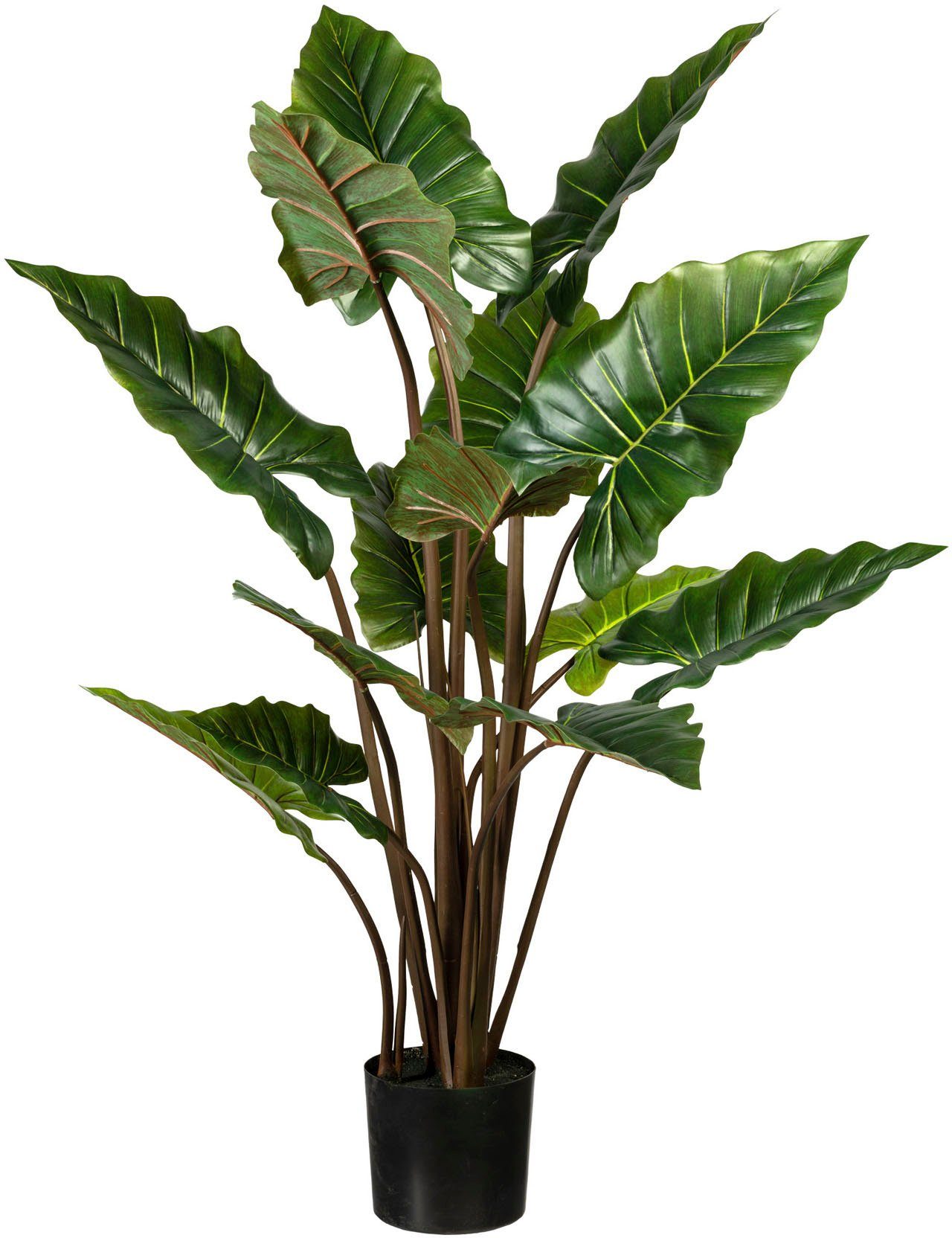 140 cm Künstliche Creativ Zimmerpflanze green, Taropflanze, Taropflanze Höhe
