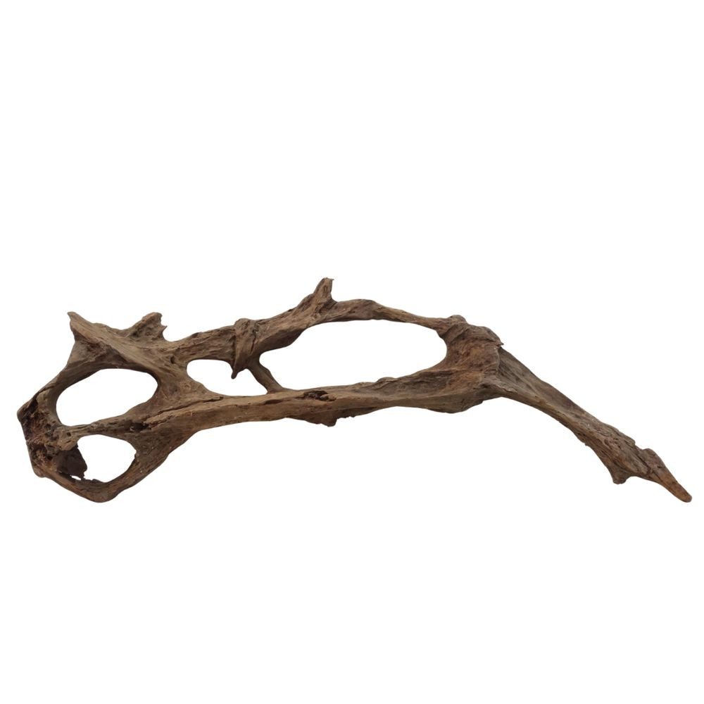 Aquaone Aquarium XXL Mangrovenwurzel Nr.3013 Holz Deko Aquascaping