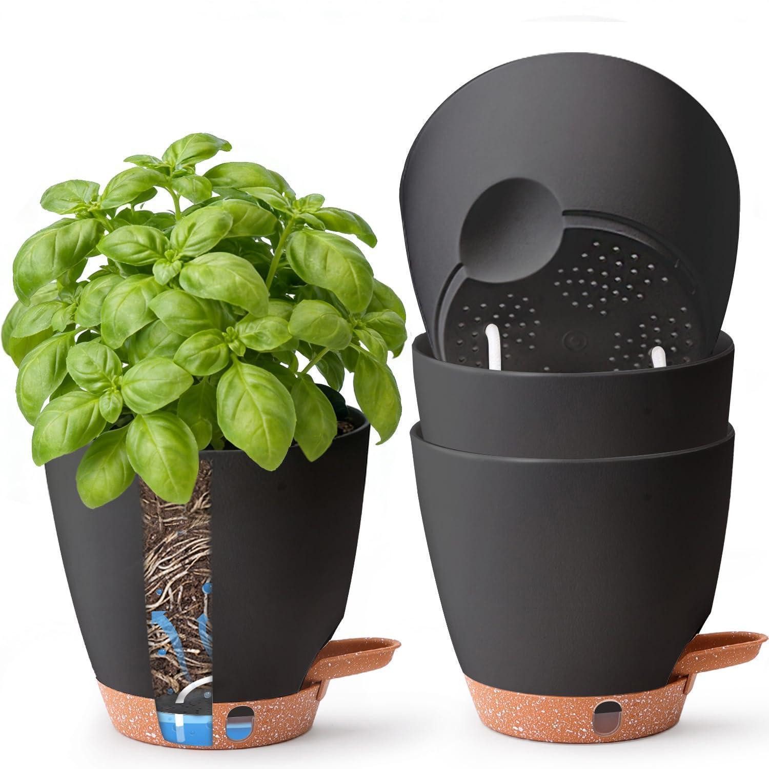 LuxusKollektion Kräutertopf Kräutertopf selbstbewässernd 4er Set Fensterbank Schwarz 15CM-4set