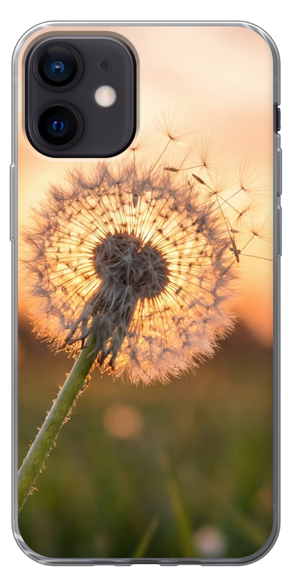 MuchoWow Handyhülle für Apple iPhone 12 Mini Löwenzahn - Sonnenuntergang - Feld, Smartphone-Bumper, Print, Handy Schutzhülle Dünn