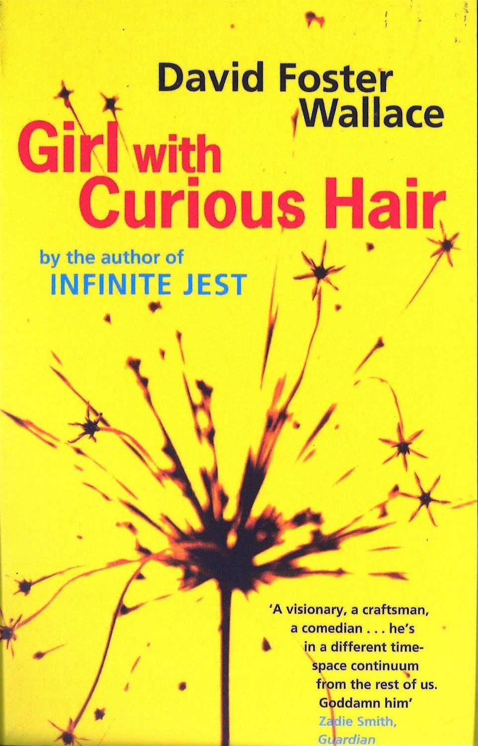Girl with Curious Hair / David Foster Wallace