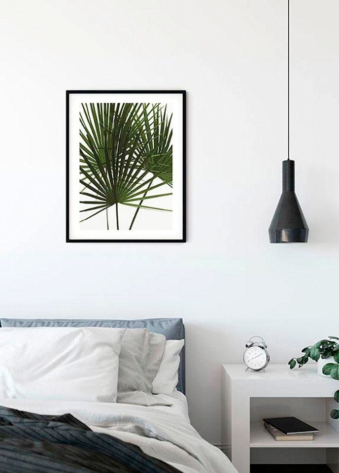 Komar Poster Palmtree Leaves, Wohnzimmer Pflanzen (1 Kinderzimmer, St), Schlafzimmer