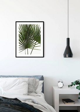 Komar Poster Palmtree Leaves, Pflanzen (1 St), Kinderzimmer, Schlafzimmer, Wohnzimmer