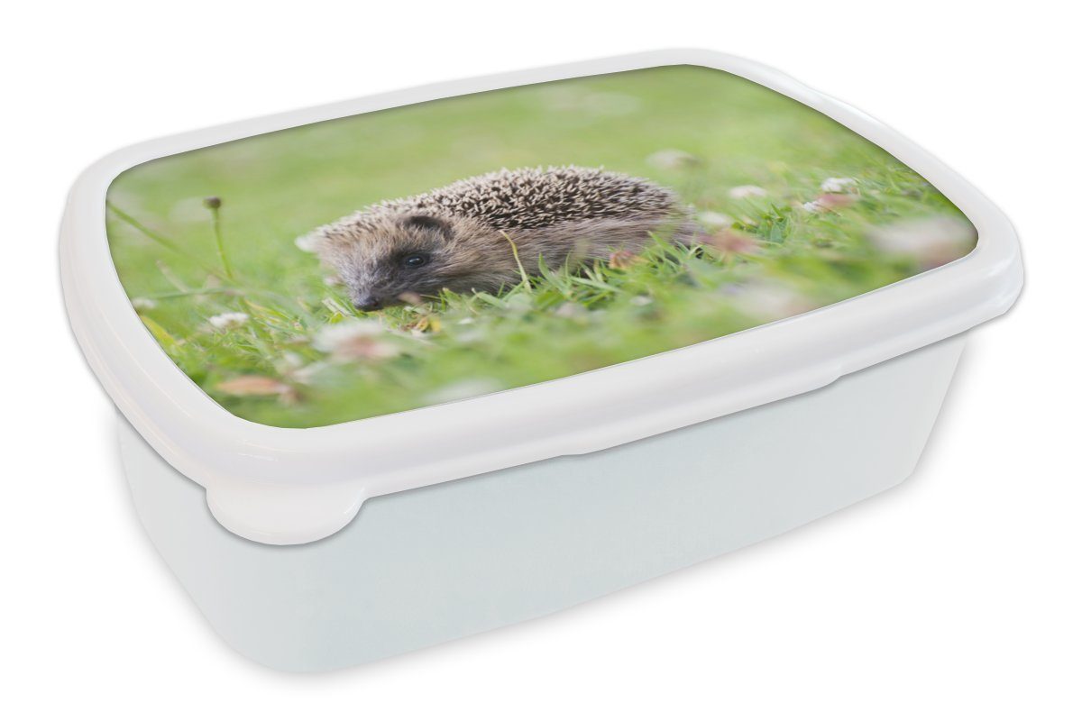 MuchoWow Lunchbox Kleiner Igel im Gras, Kunststoff, (2-tlg), Brotbox für Kinder und Erwachsene, Brotdose, für Jungs und Mädchen weiß
