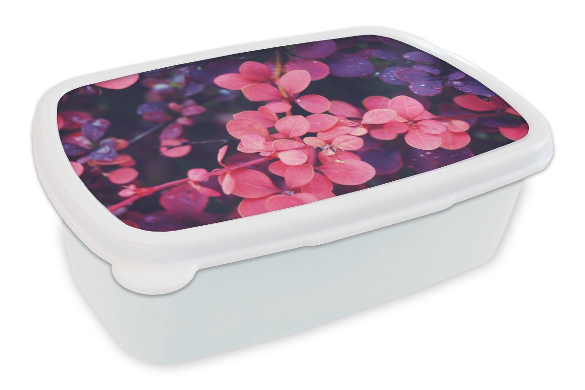 MuchoWow Lunchbox Blumen - Lila - Natur, Kunststoff, (2-tlg), Brotbox für Kinder und Erwachsene, Brotdose, für Jungs und Mädchen weiß