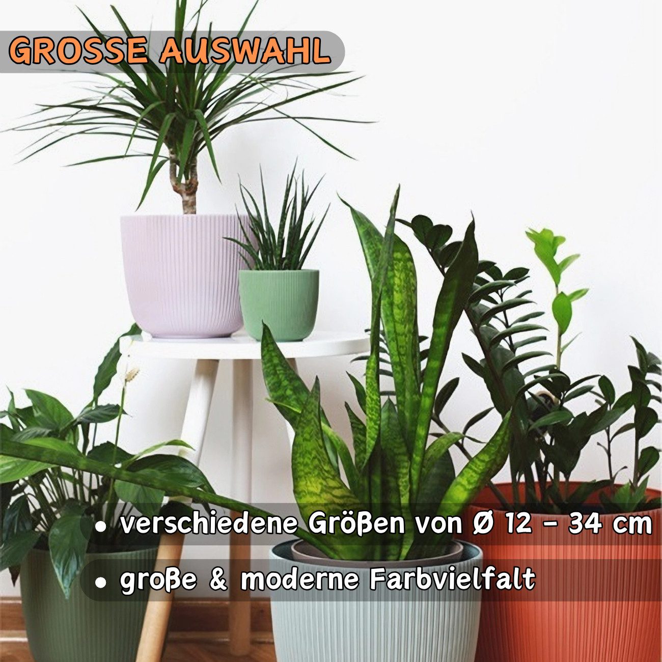 BTPLASTIK 6 Blumentöpfe Mit Untersetzern – Größen 7,5 Bis 3,5 Zoll, Grün, Mit Drainagelöchern, Aus PP