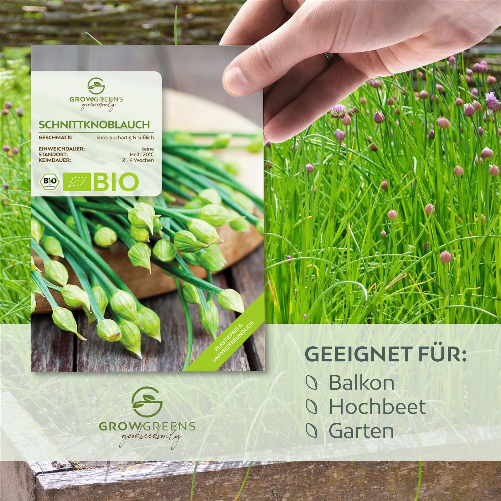 Growgreens Kräutersamen BIO Schnittknoblauch Samen - günstig online kaufen