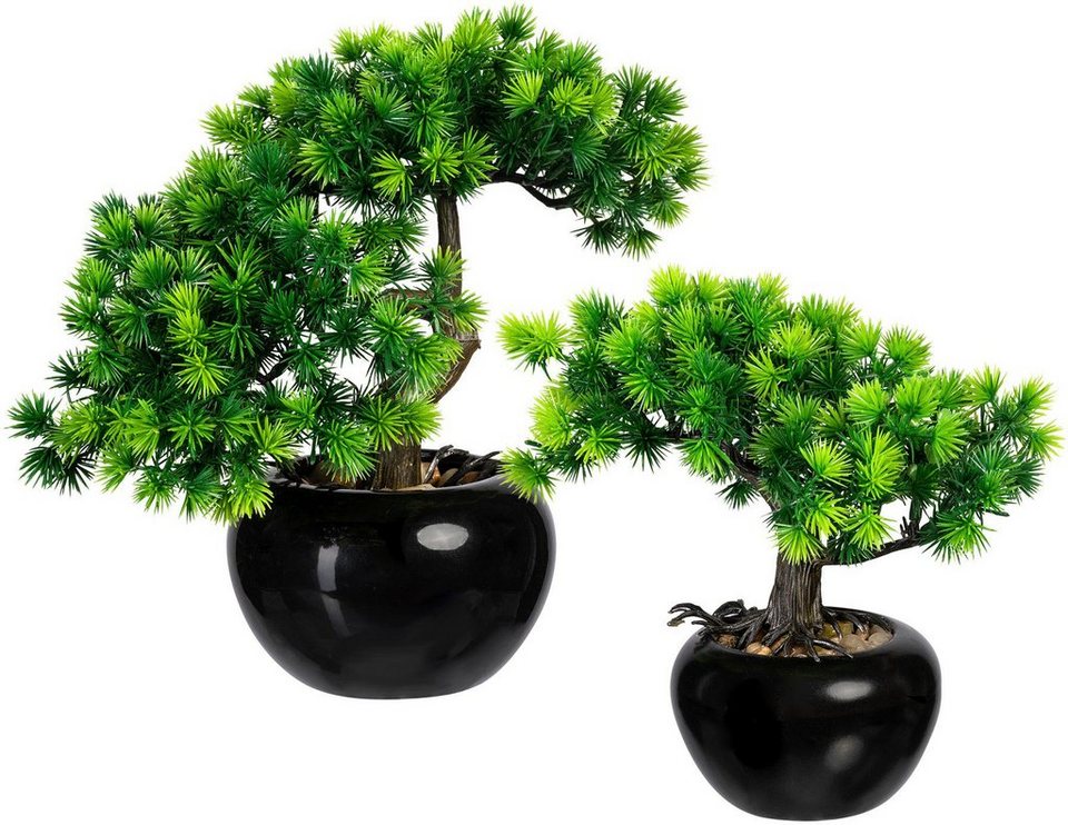 Kunstbonsai Bonsai Lärche Bonsai Lärche, Creativ green, Höhe 25 cm, im  Keramiktopf, 2er Set