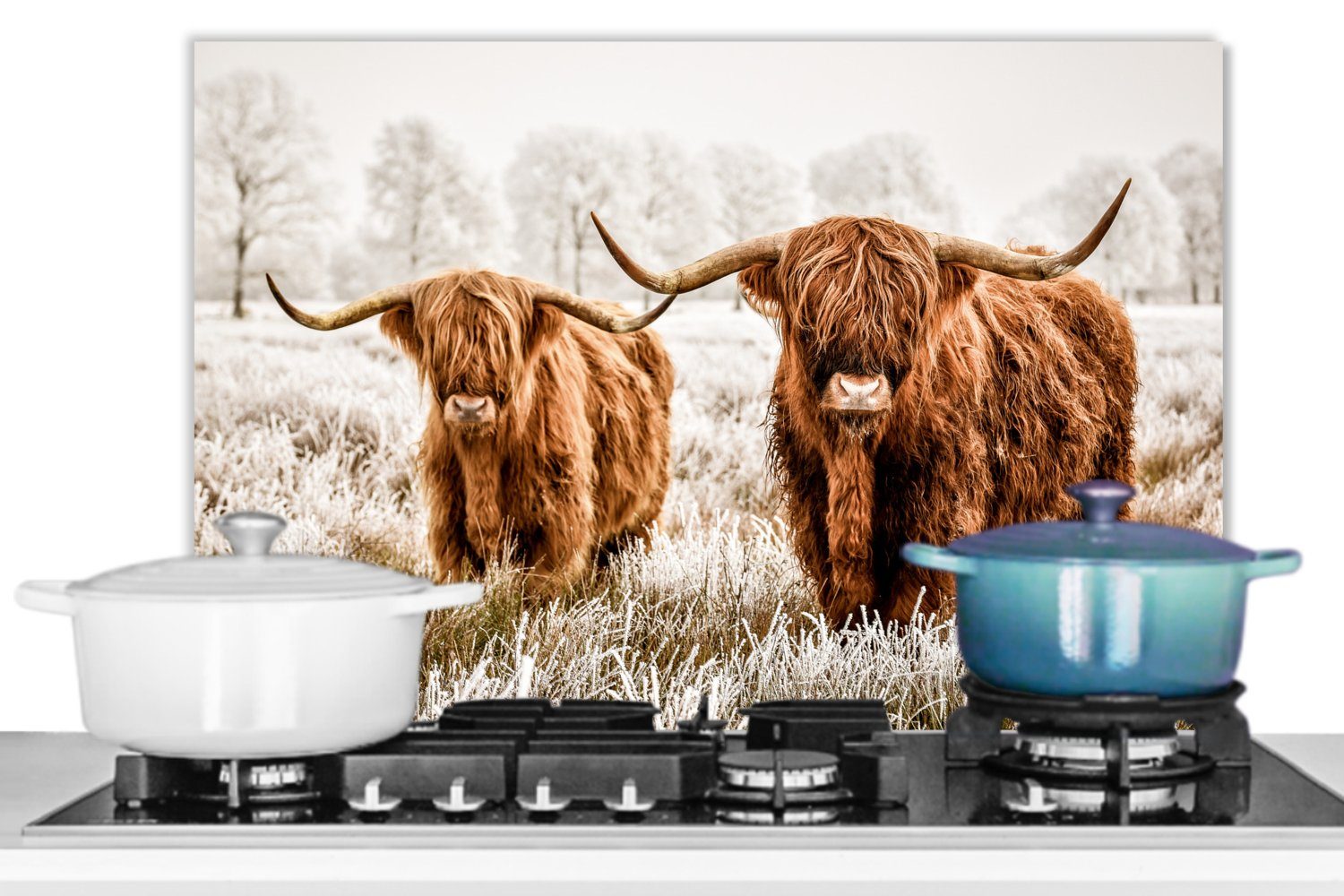Schottischer Temperaturbeständig Hochländer küchen (1-tlg), 60x40 Winter, - Kuh Natur - Herdblende cm, Küchenrückwand aus Wandschutz, MuchoWow -