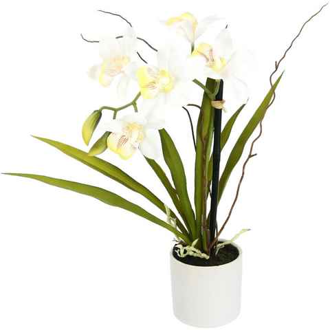 Kunstorchidee Orchidee, I.GE.A., Höhe 33 cm, im Keramiktopf