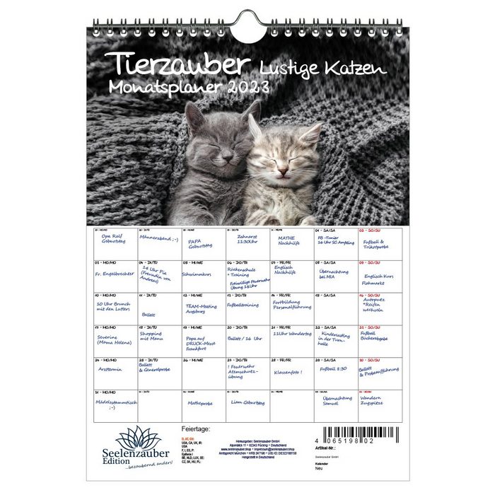 Seelenzauber Wandkalender Tierzauber lustige Katzen Planer DIN A4 - Kalender für 2023 lustige
