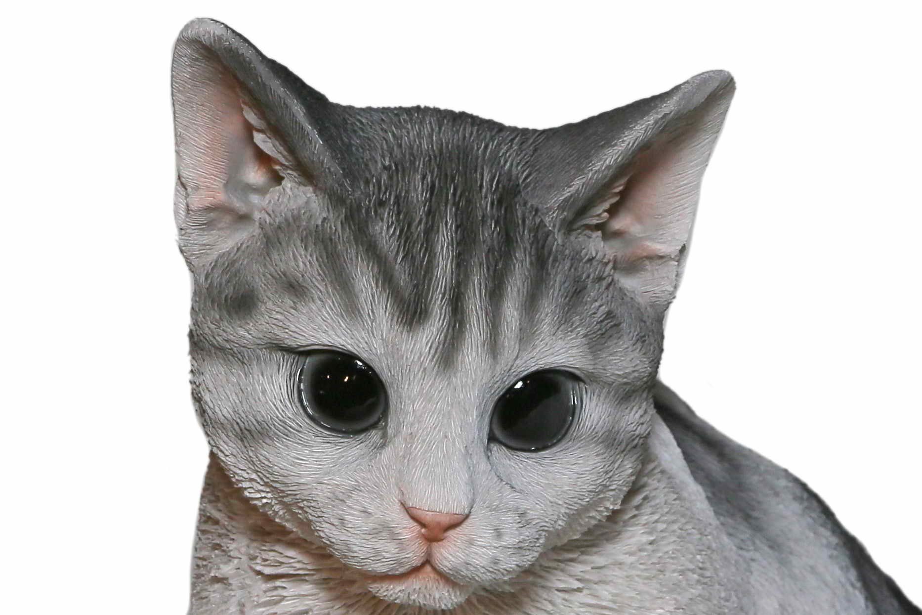 Casa Collection by Jänig Tierfigur Katze, rechte Pfote oben, Höhe: 32cm, Ti günstig online kaufen
