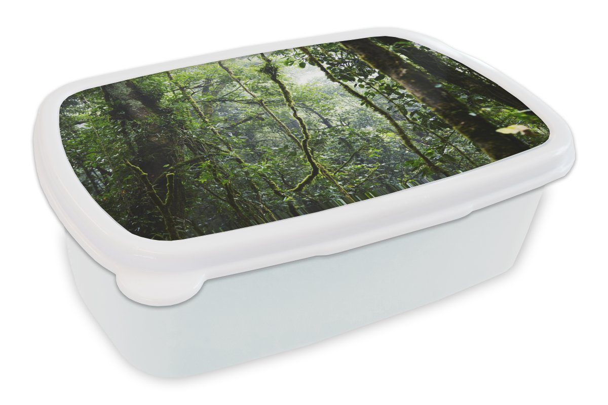 MuchoWow Lunchbox Tropischer Regenwald, Kunststoff, (2-tlg), Brotbox für Kinder und Erwachsene, Brotdose, für Jungs und Mädchen weiß