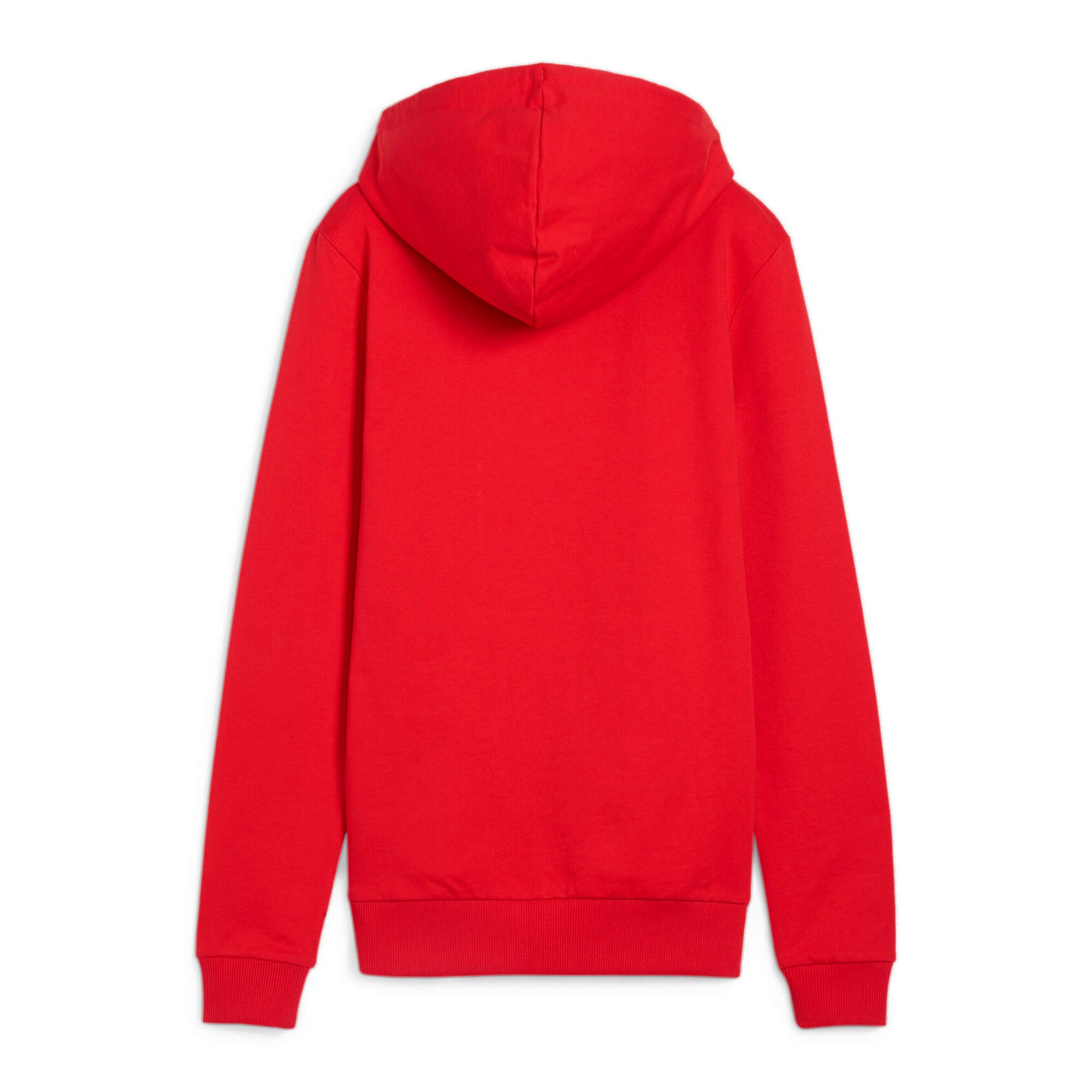 PUMA Kapuzenpullover Puma Damen Kapuzenpullover teamGOAL Casuals Hoody Wmn 658621