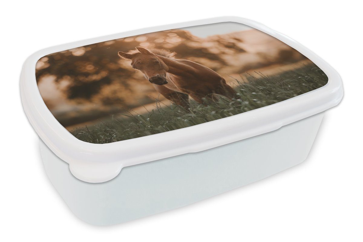 MuchoWow Lunchbox Pferd - Licht - Landschaft, Kunststoff, (2-tlg), Brotbox für Kinder und Erwachsene, Brotdose, für Jungs und Mädchen weiß