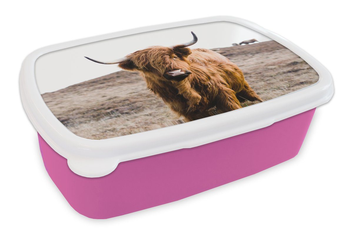 Lunchbox Mädchen, rosa Erwachsene, - Kuh - Kinder, Natur, Brotbox für Braun Kunststoff, - - MuchoWow Tiere - (2-tlg), Snackbox, Kunststoff Brotdose Schottische Highlander Landschaft