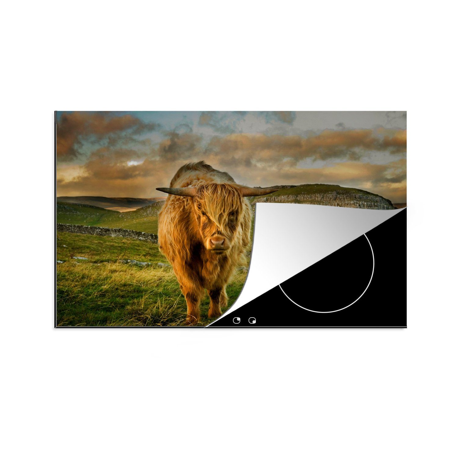 MuchoWow Herdblende-/Abdeckplatte Schottischer Highlander - Gras - Berg, Vinyl, (1 tlg), 83x51 cm, Ceranfeldabdeckung, Arbeitsplatte für küche