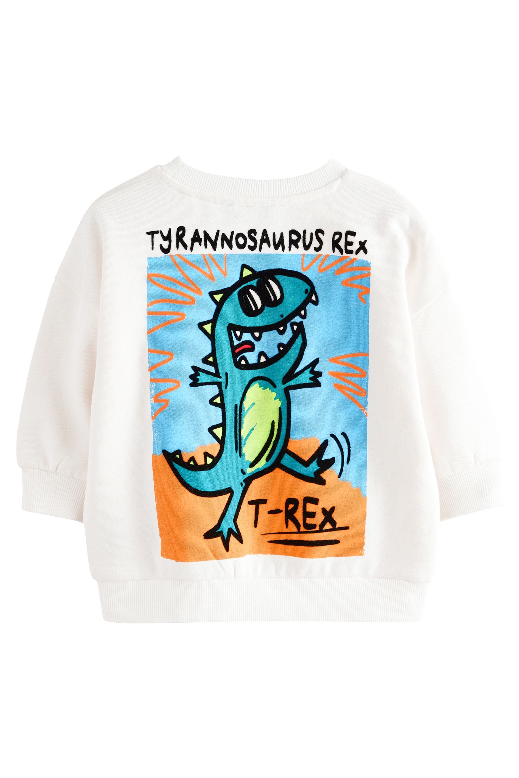 Next Sweater Sweatshirt aus 100 % Baumwolle günstig online kaufen