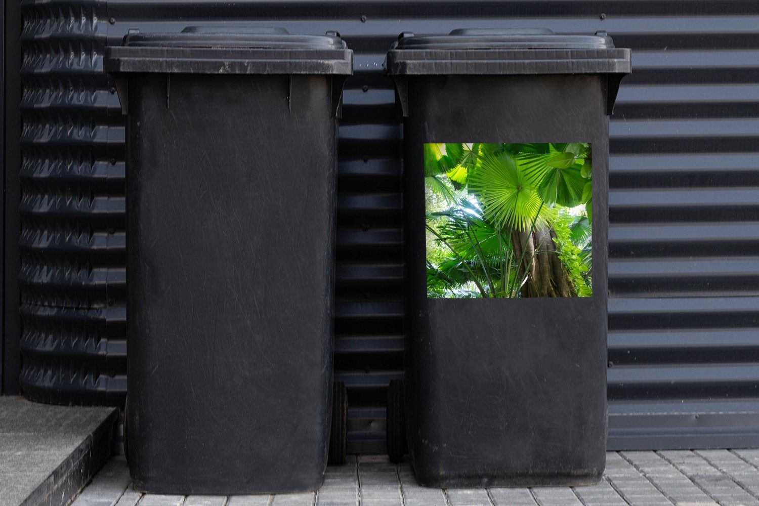 Tropischer Abfalbehälter Mülltonne, Container, (1 Mülleimer-aufkleber, MuchoWow Regenwald St), Sticker, Wandsticker
