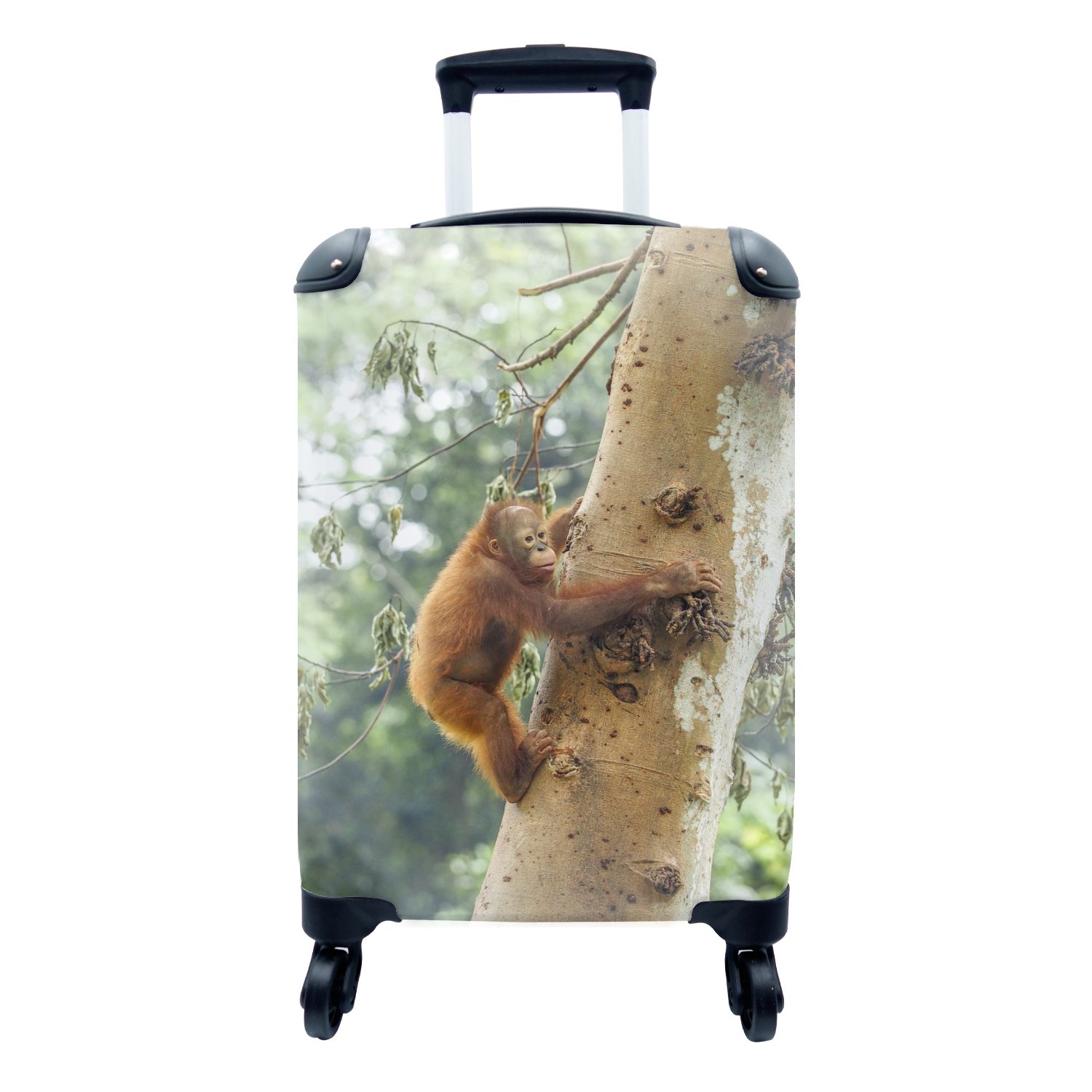 MuchoWow Handgepäckkoffer Orang-Utan-Baby klettert auf einen Baum in der Natur, 4 Rollen, Reisetasche mit rollen, Handgepäck für Ferien, Trolley, Reisekoffer