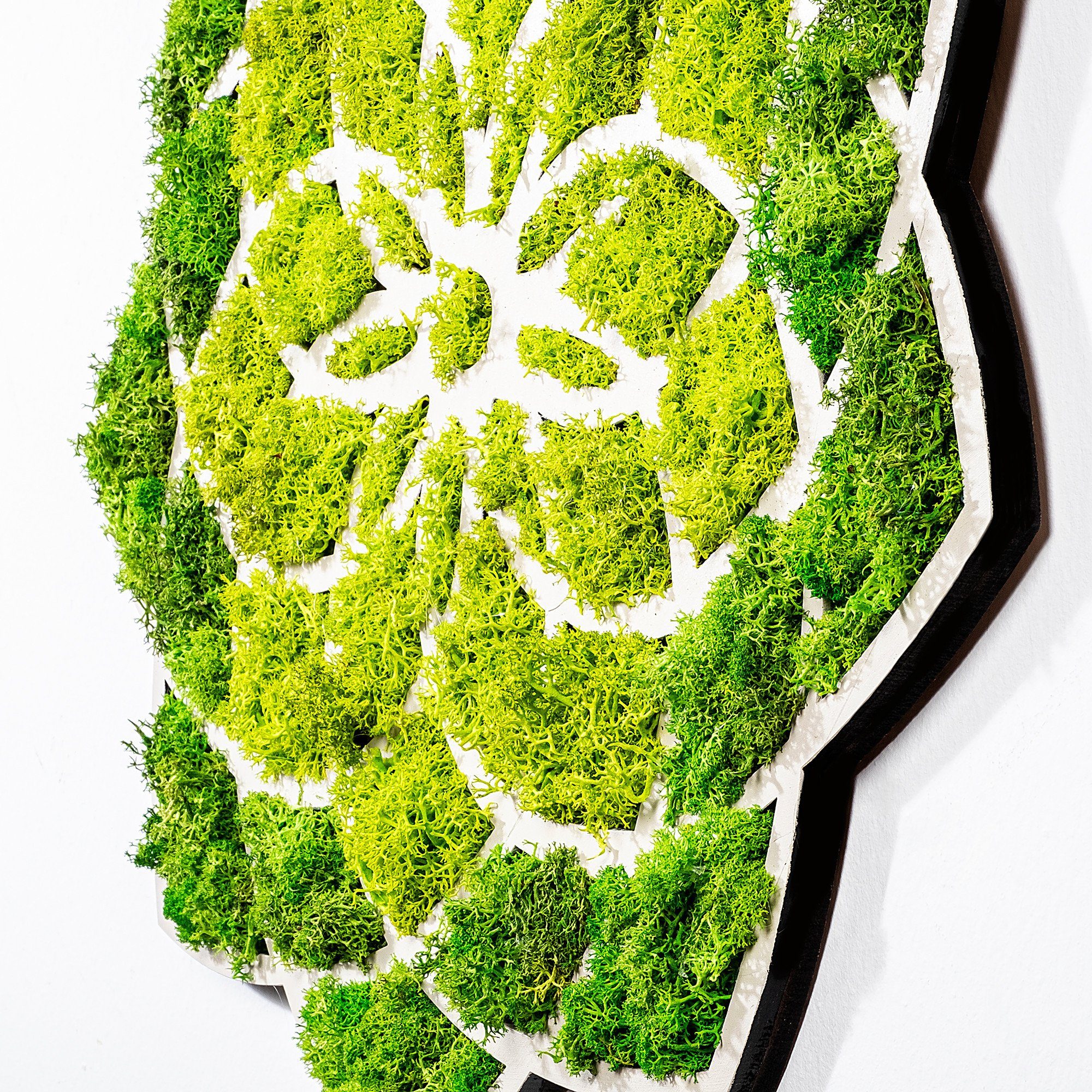 Wallity Wanddekoobjekt 100% MDF / MOSS günstig online kaufen