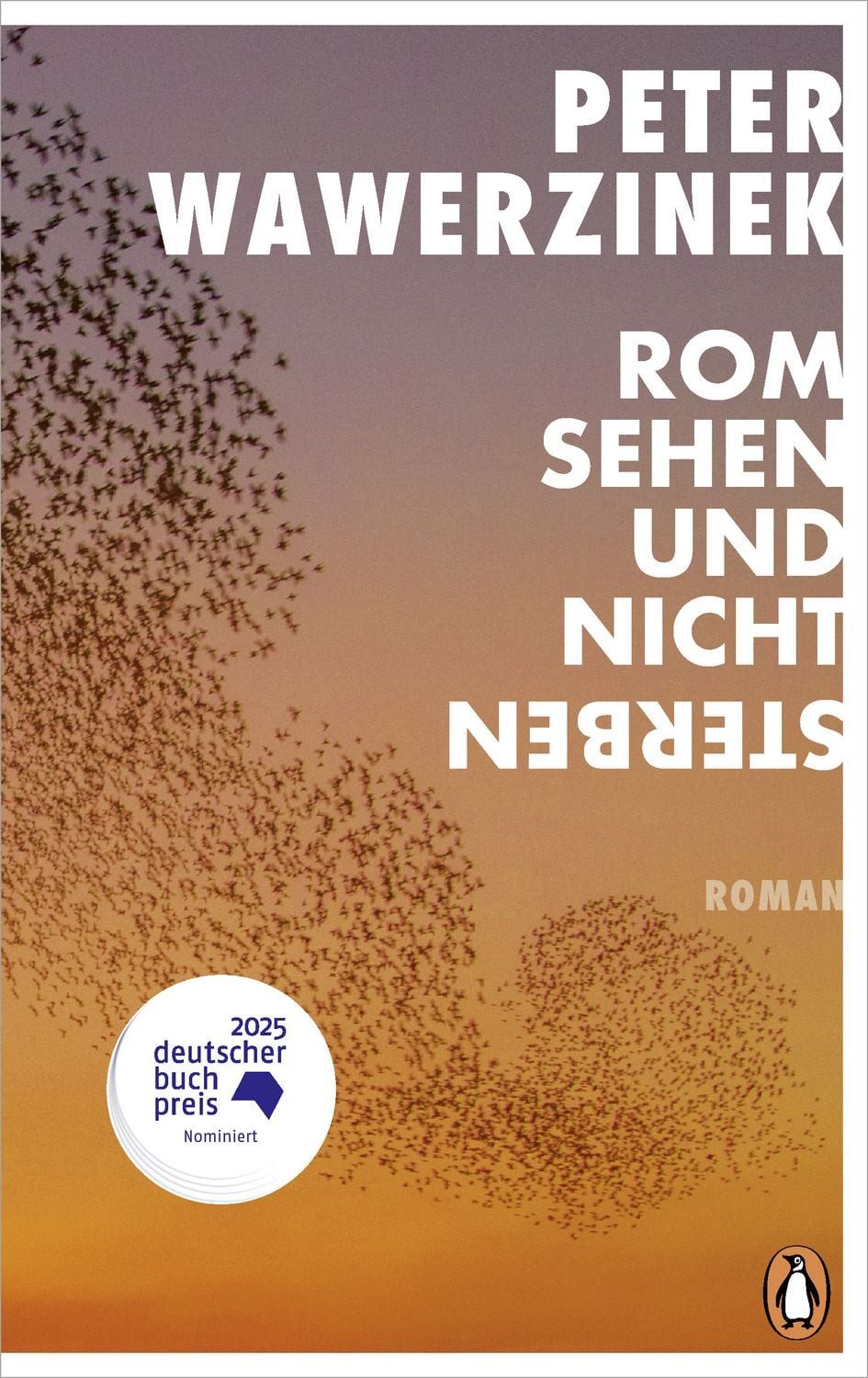 Rom sehen und nicht sterben / Peter Wawerzinek