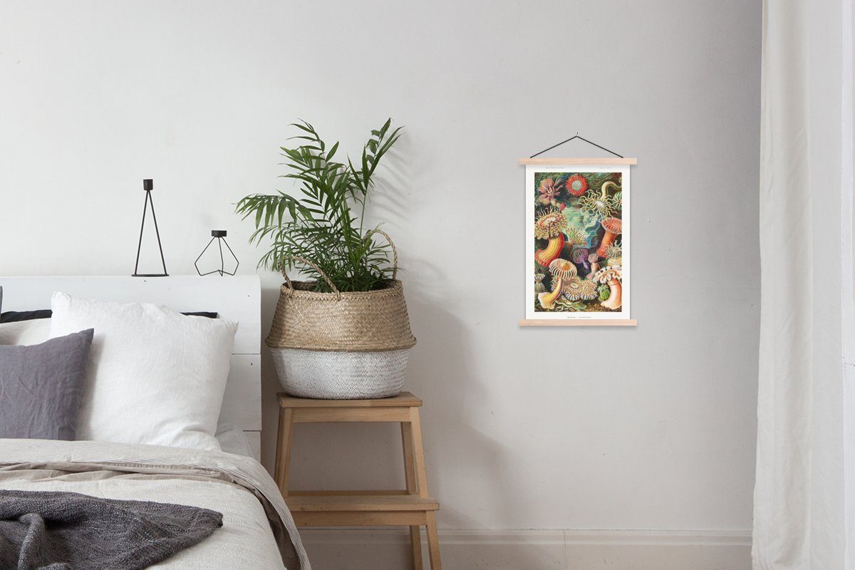 Poster Wohnzimmer, Posterleiste, | - Meer, St), braun (1 für Ernst - Bilderleiste, Textilposter Natur Anemone Haeckel - Magnetisch Pflanzen - MuchoWow braun Retro -