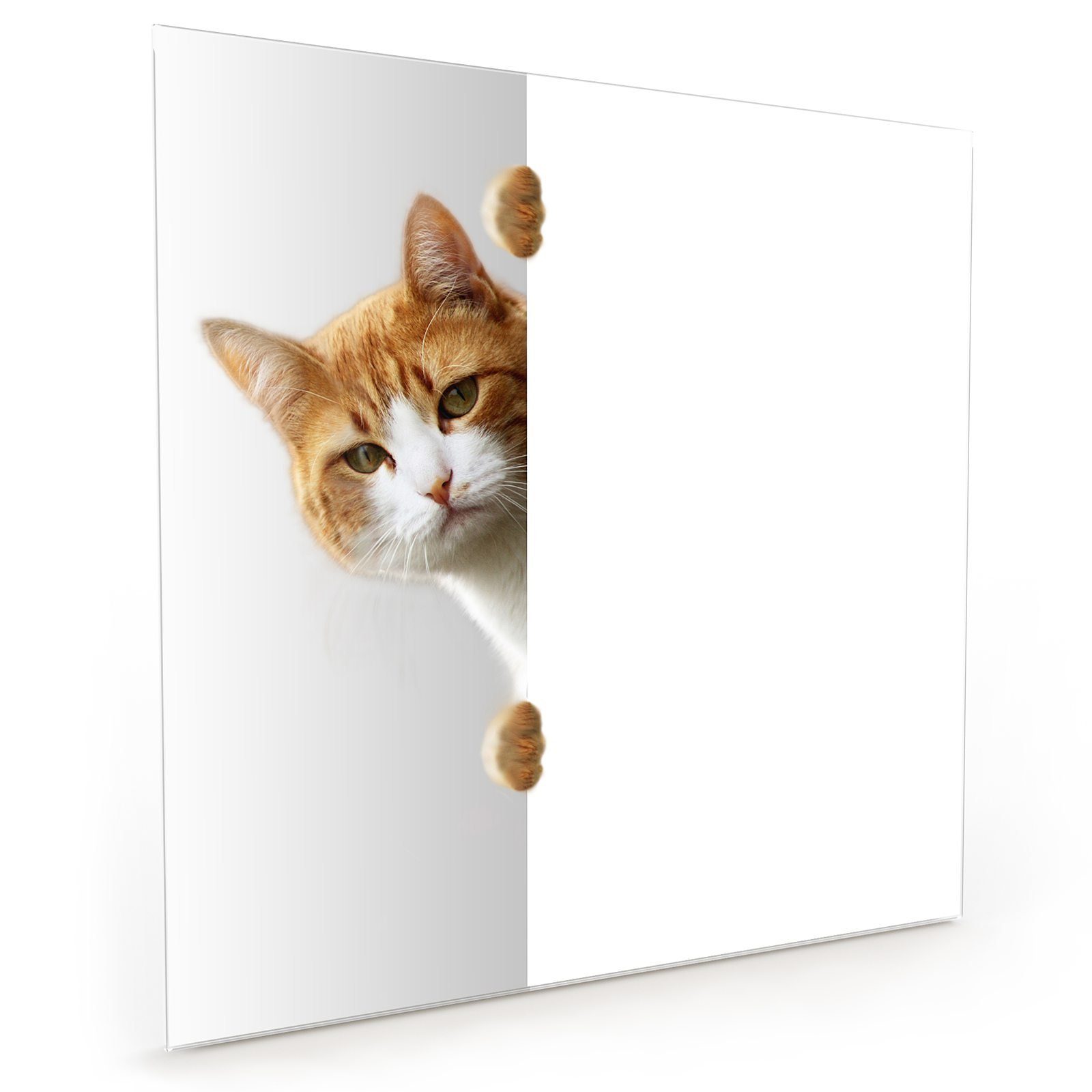 Primedeco Küchenrückwand Spritzschutz Glas Katze hinter Tür