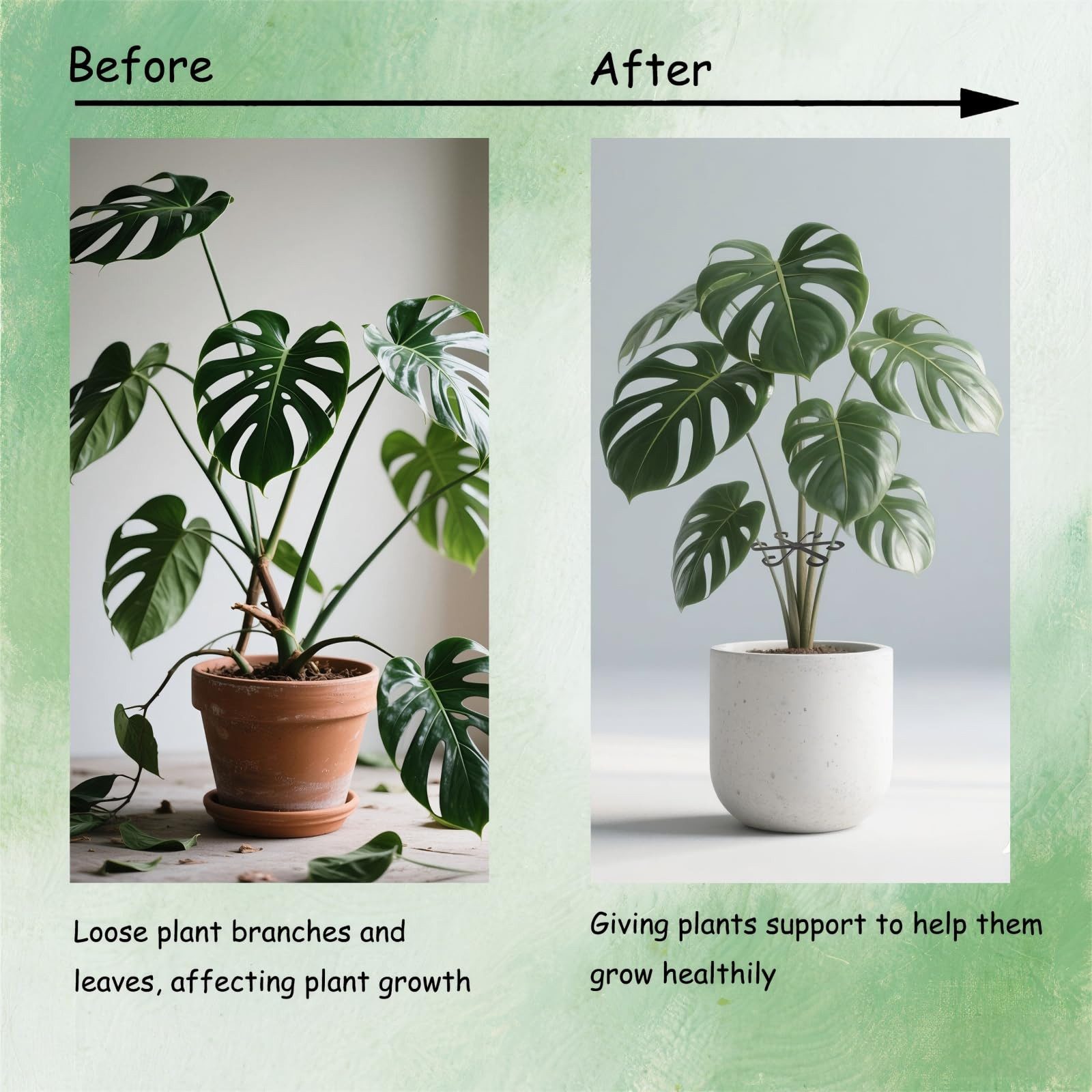 Coonoor Rankhilfe 16 Stück Pflanzenstütze,Pflanzenstielhalter Pflanzen Stütze, für Monstera Rankhilfe und Alocasia, Tomaten Hortensien – Bild 5 von 5