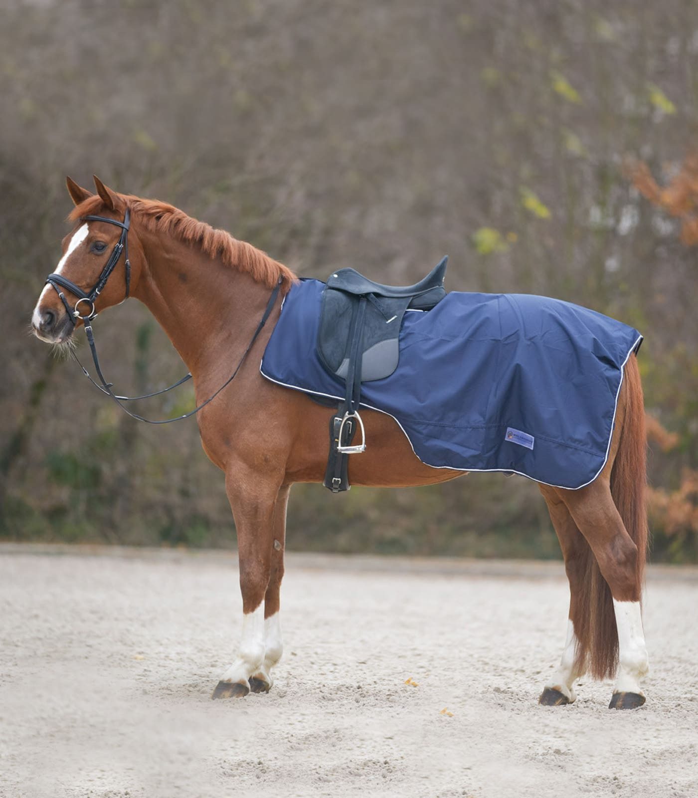 Waldhausen Ausreitdecke Regen Ausreitdecke