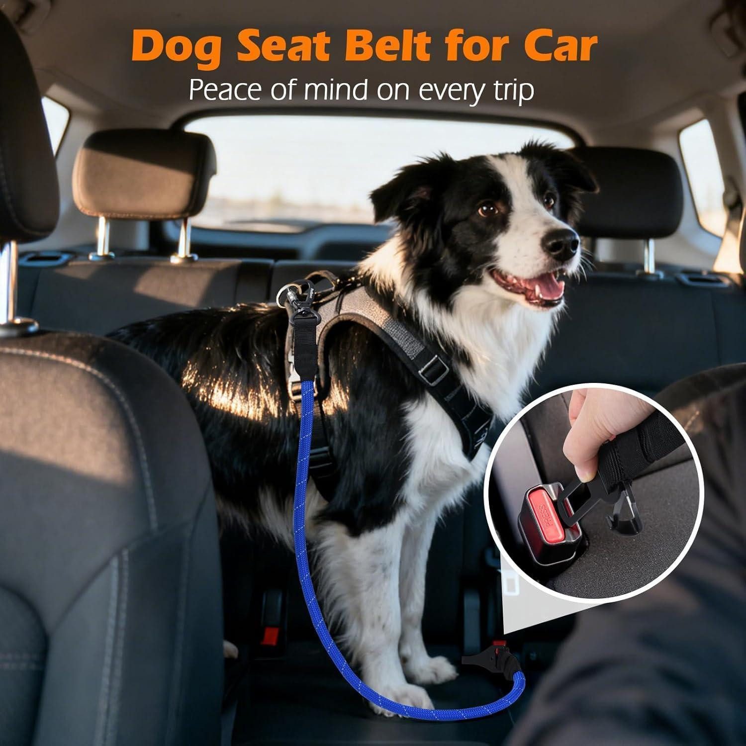 LuxusKollektion Autohundegeschirr Sicherheitsgurt Hund Auto Karabiner klein mittel groß Blau