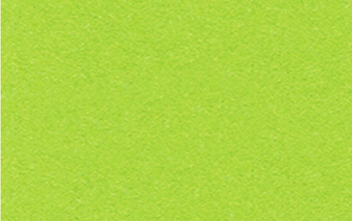 Bastelkartonpapier Tonkarton 220g/qm A4 VE=100 Bogen tropicgrün
