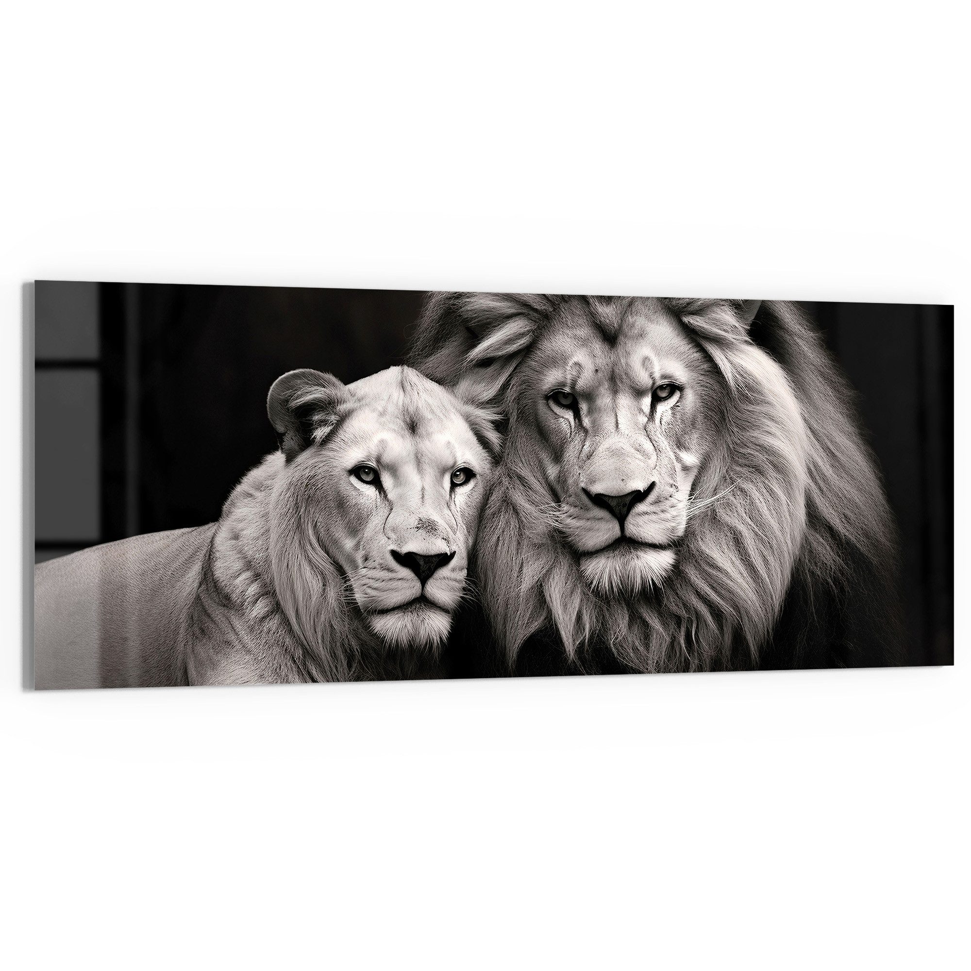 DEQORI Glasbild 'Stolzes Löwenpaar', 'Stolzes Löwenpaar', günstig online kaufen