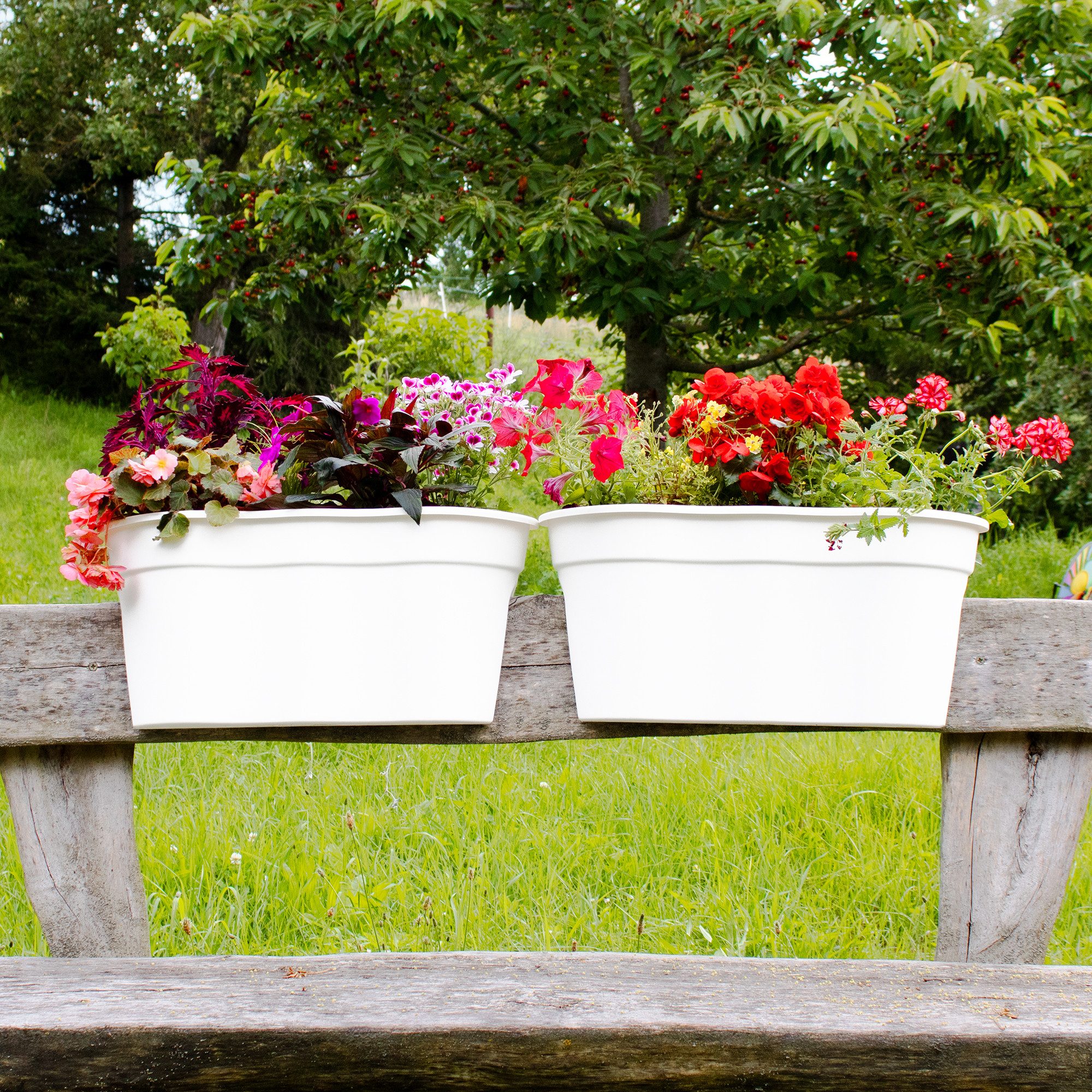 NYVI Blumenkasten Blumenkasten mit Halterung Flowerclip günstig online kaufen