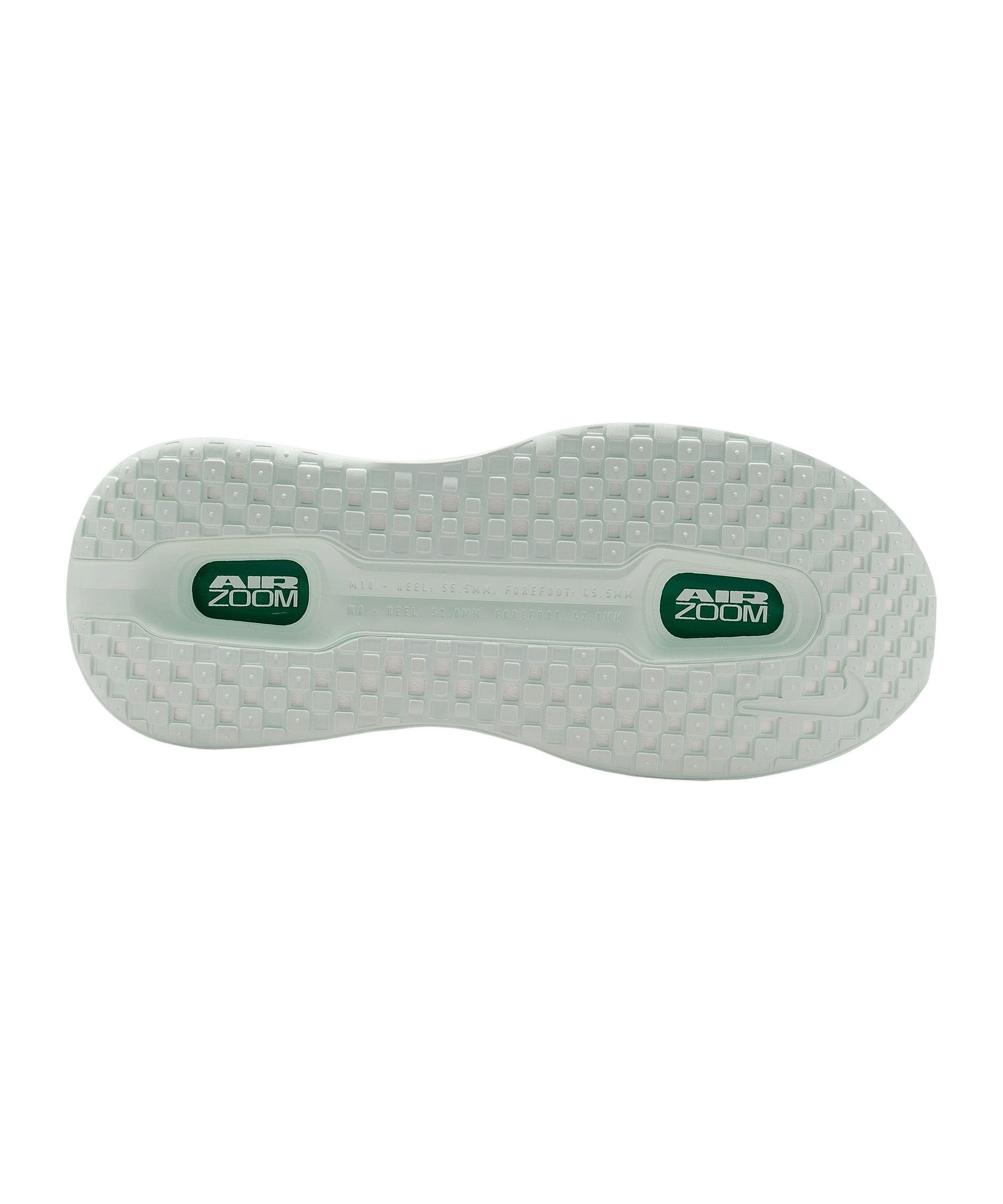 Nike Nike Performance Damen Vomero Premium Laufschuh Laufschuh