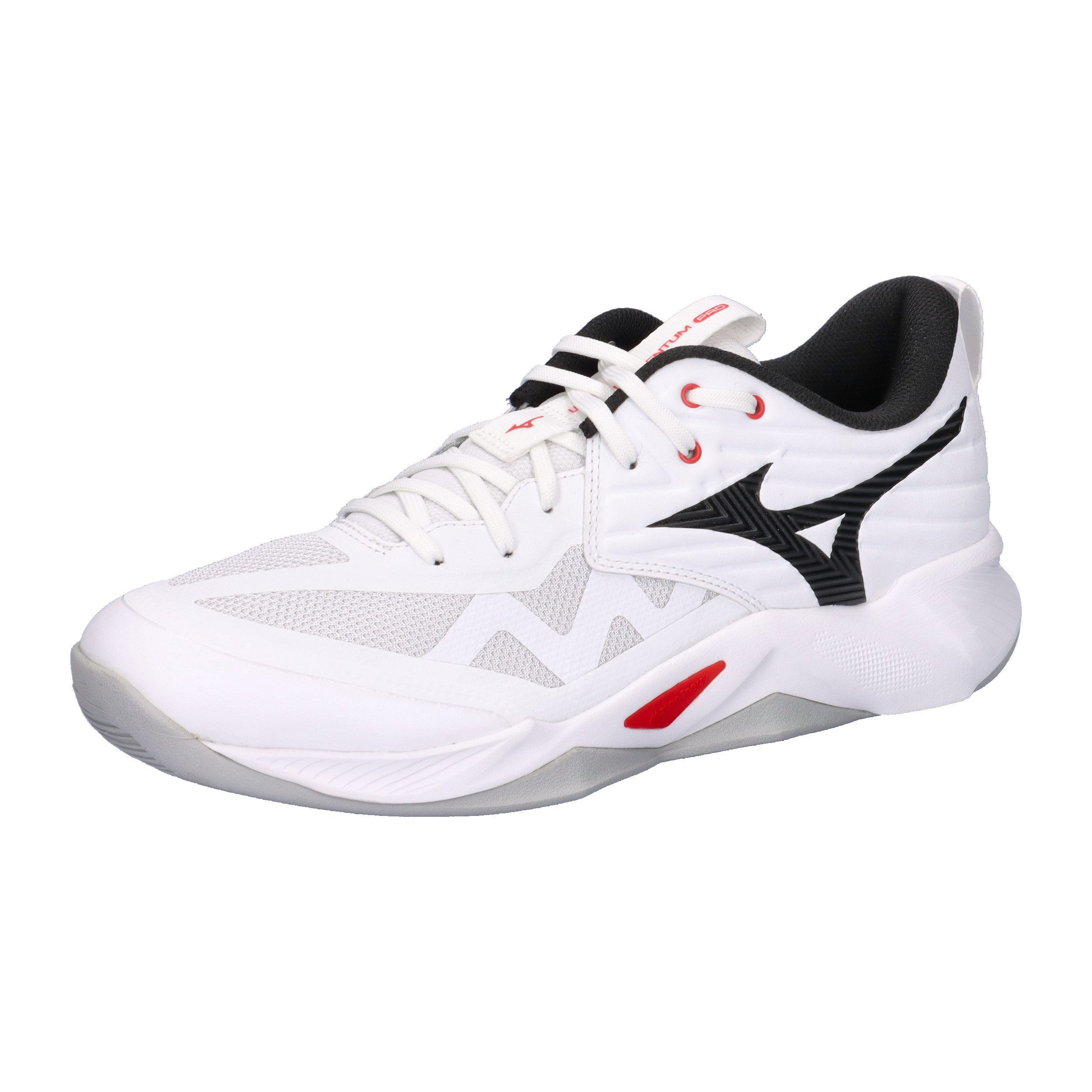 Mizuno Mizuno Unisex Hallenschuhe WAVE MOMENTUM PRO V1GA2540 Hallenschuh