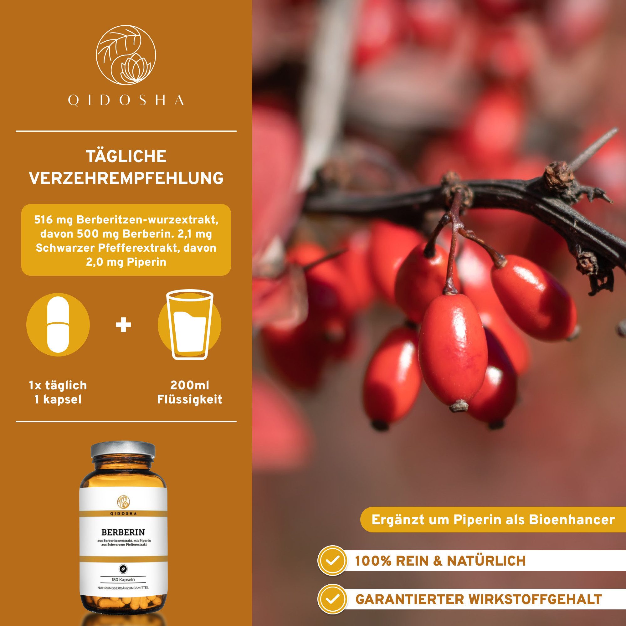 QIDOSHA Berberin 97 % mit Piperin Kapseln Hartkapsel, 1 er 180 St., 112 g, Berberitzen-Extrakt mit Piperin